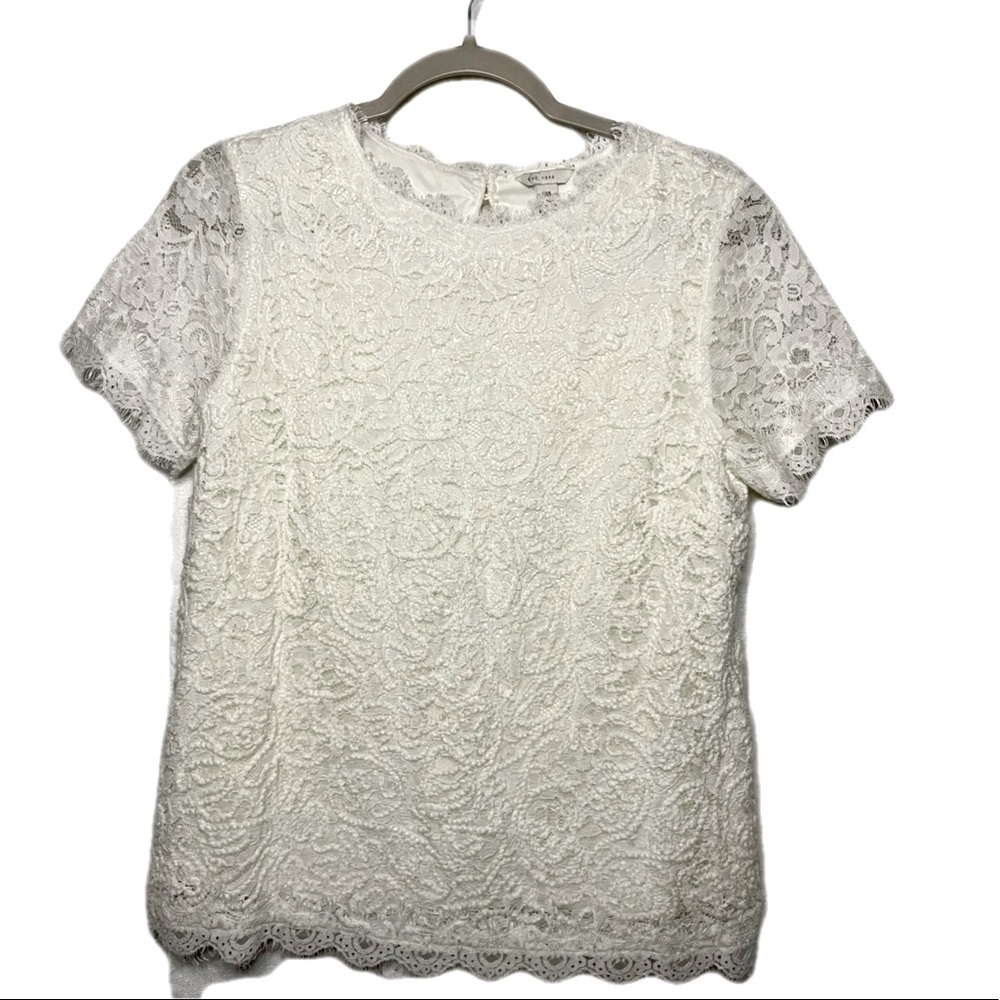 NWOT Eyelash Lace Crewneck Blouse